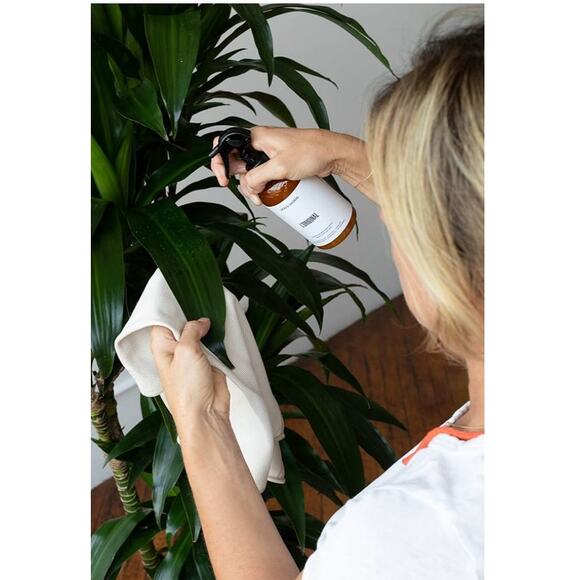 New in bottle L'Original Leon & George 8oz. Organic black soap spray - Picture 1 of 7